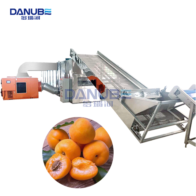 Advanced Mesh Belt Dryer Apricot Cleaning Drying And Packaging Production Line - Capacity: Customized Kg/Hr