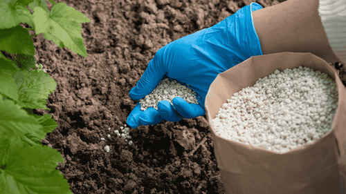 Biological Fertilizer - Application: Gardening