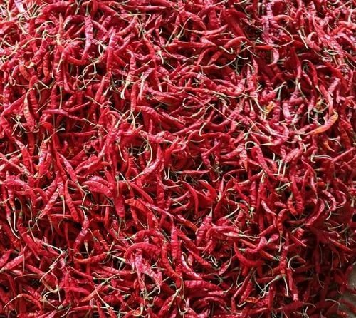 Dried Red Chilli