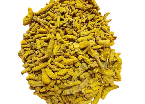 Dried Turmeric Finger