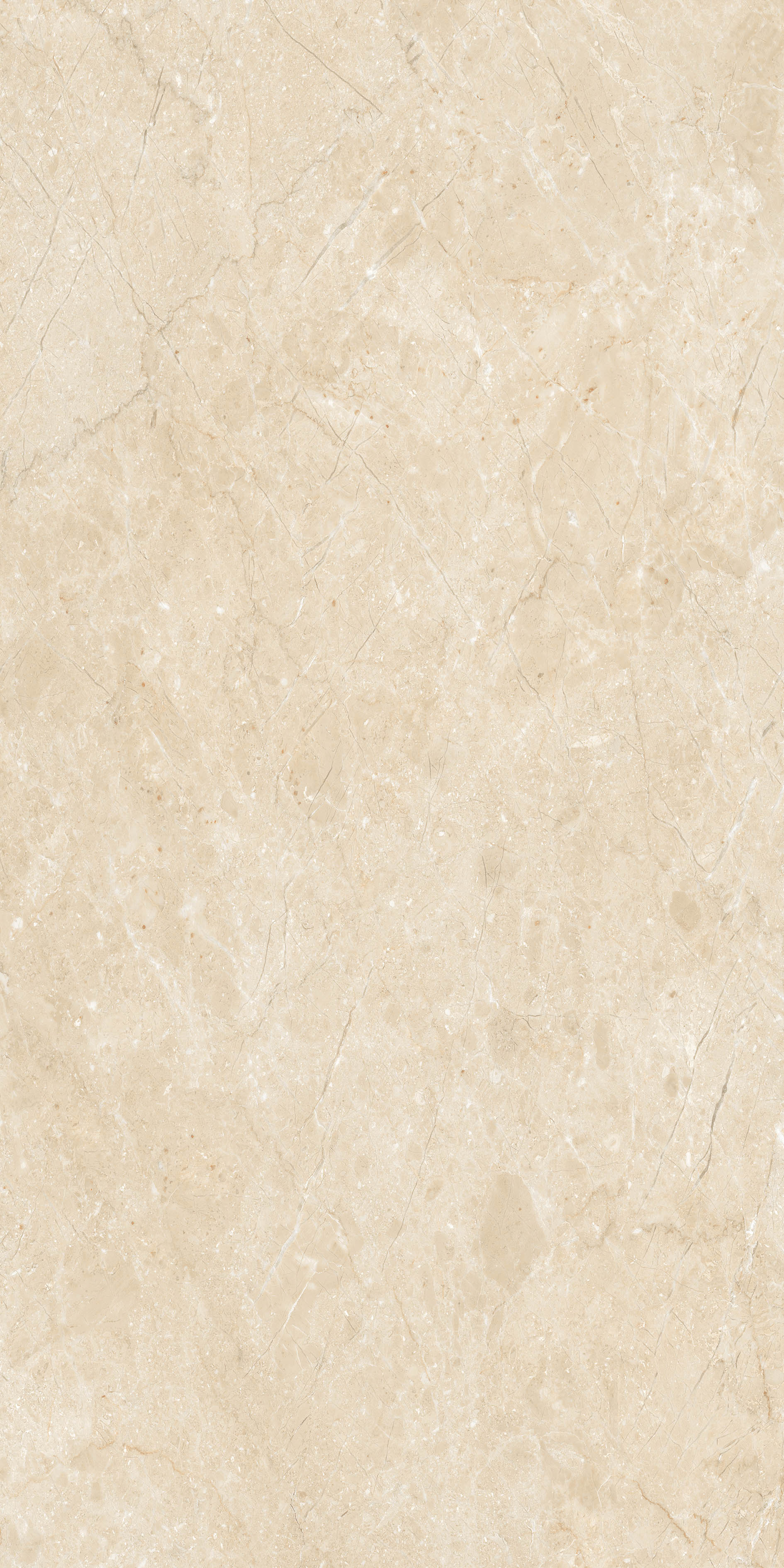 Low Maintenance Porcelain Tiles - Size: 600X1200 Mm