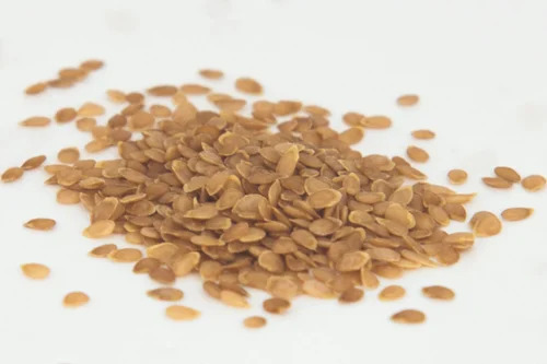 Potato Seed