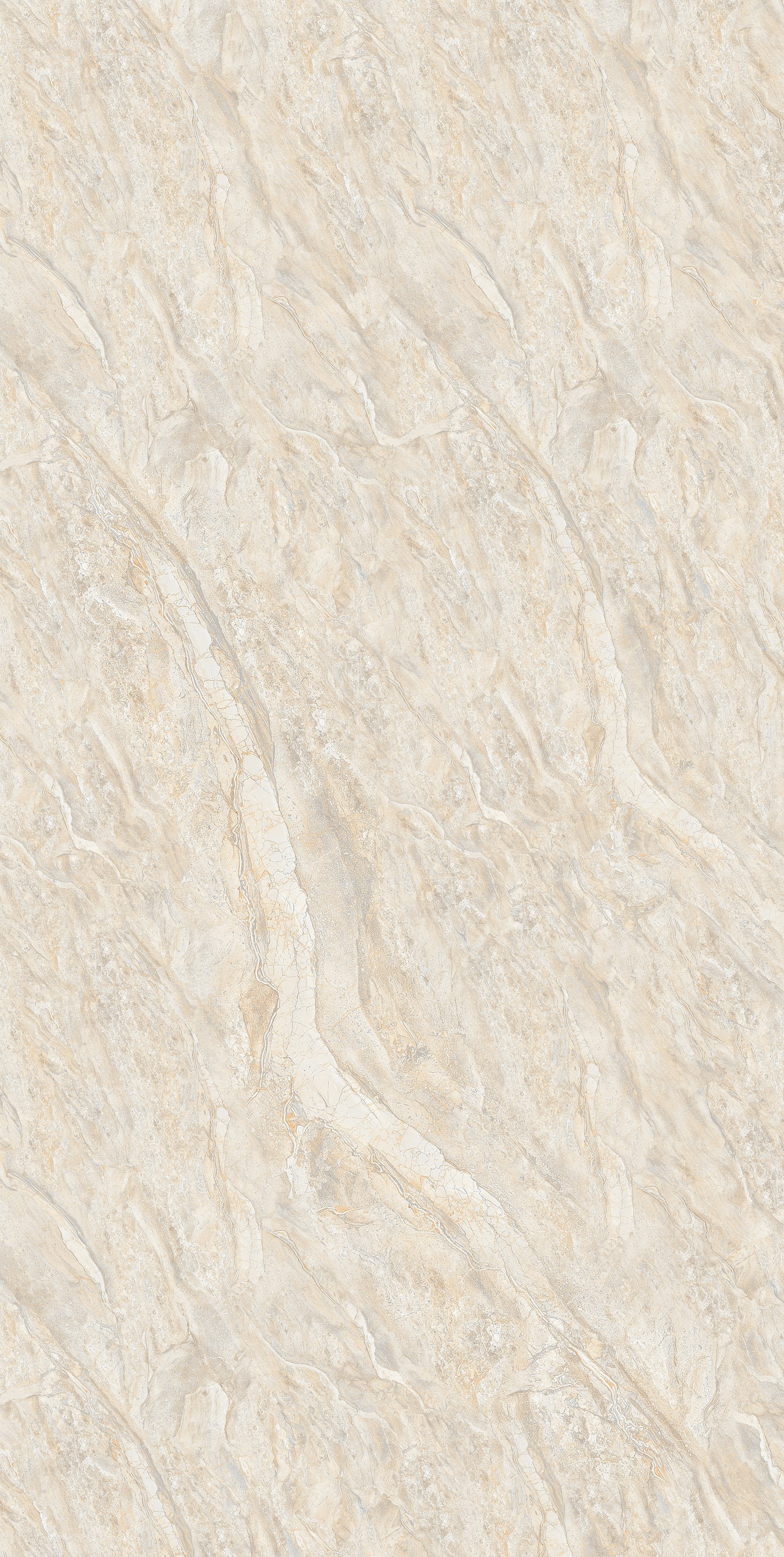Rectangular Premium Porcelain Floor Tile - Size: 600x1200 Mm