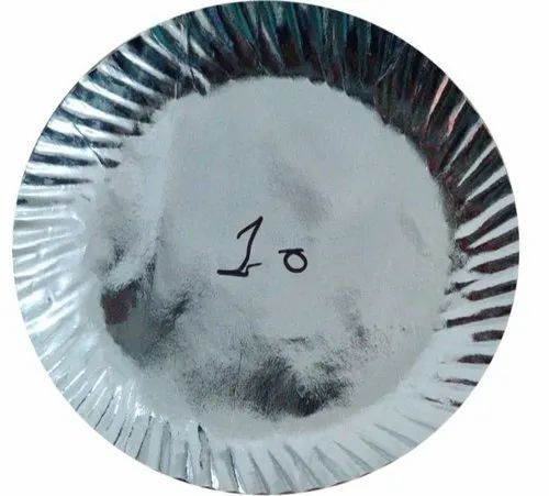 10 Inch Silver Foil Paper Plate