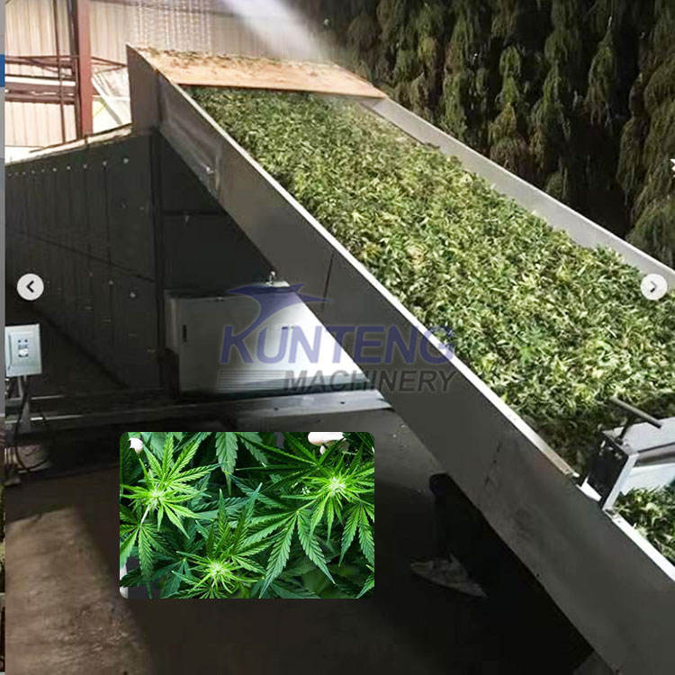 Automatic Continuous Herbs Drying Equipment - Feature: Lower Energy Consumption