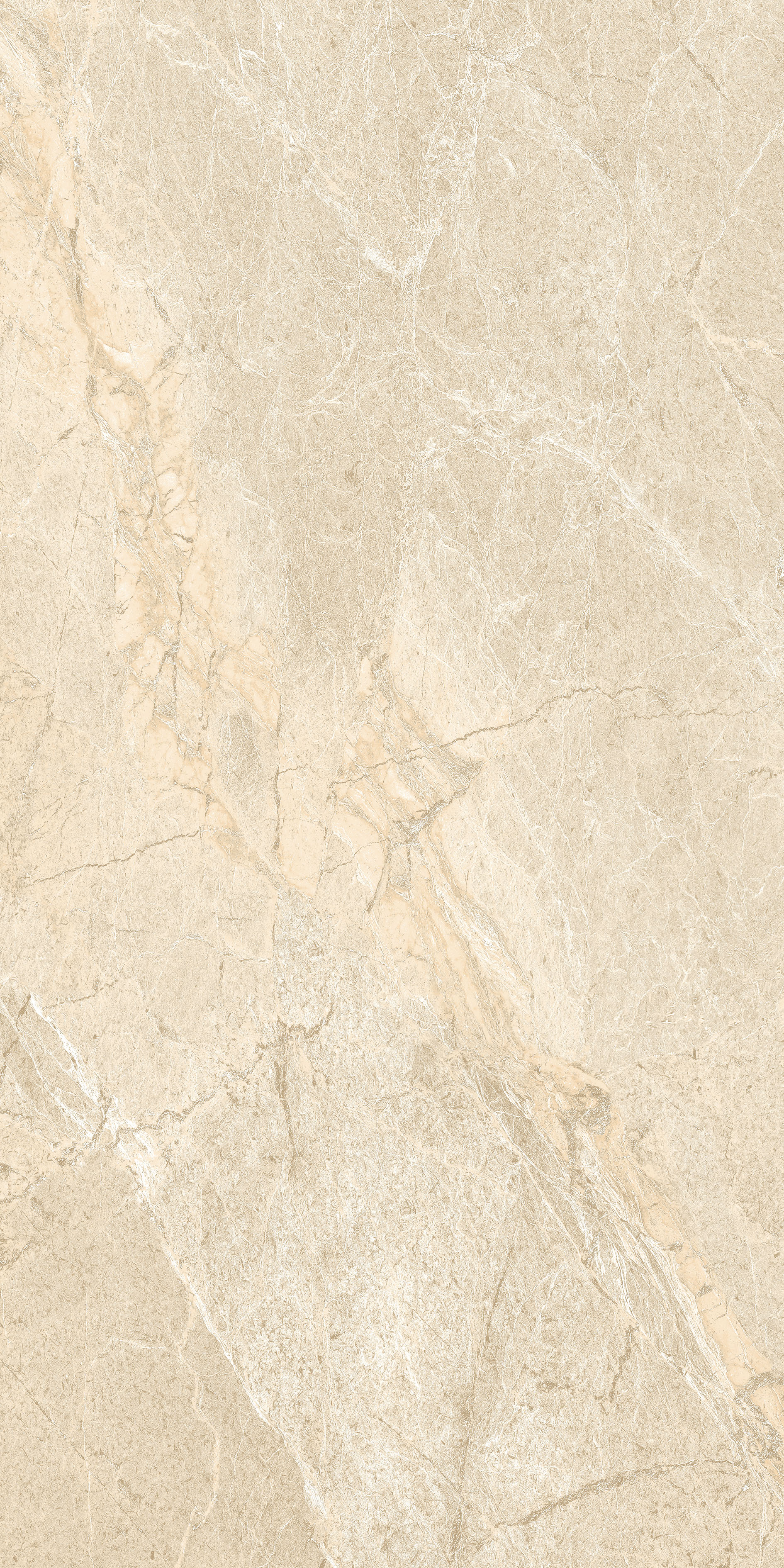 Bulk Porcelain Tile - Size: 600X1200 Mm