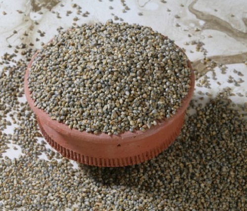 Green Millet