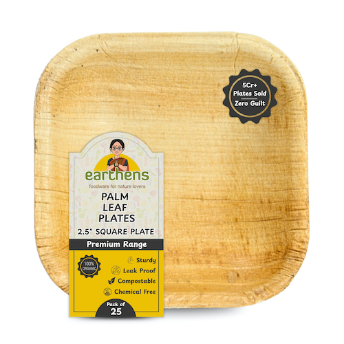Palm Leaf Tableware - Square Plate Family