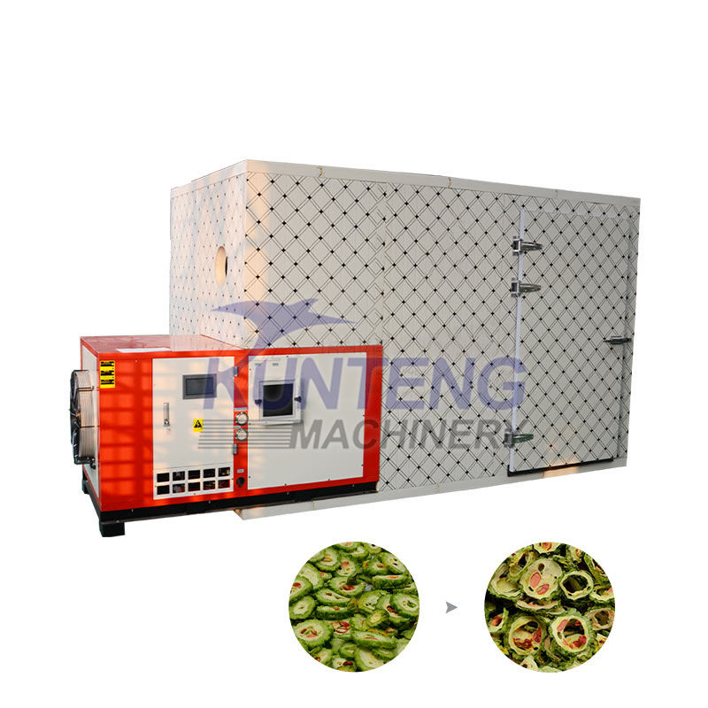 Variable-Frequency Tray-Type Vegetables Dryer - Feature: Eco Friendly