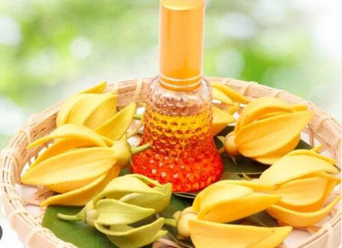 Ylang Ylang Oil