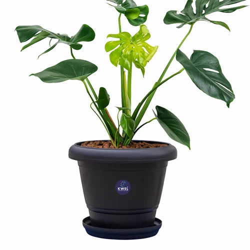 Black Plastic Flower Pot