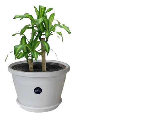 Floor Mounted Plastic Flower Pot
