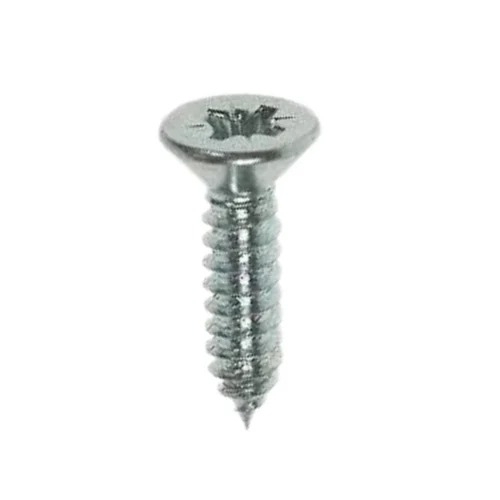 Philips Head Screw