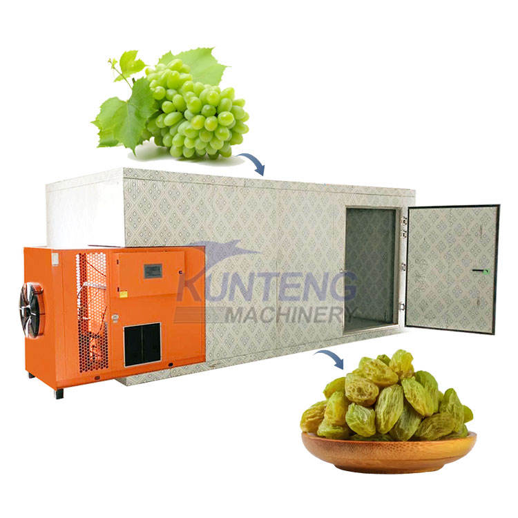 Professional Dehydrator Machine 5 Tpd Fig Apricot Raisin Tray Drying Machine