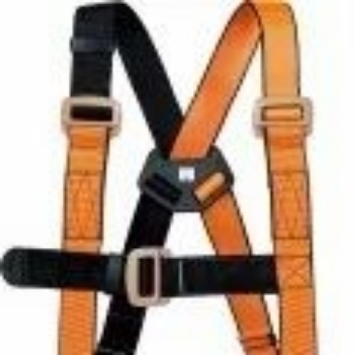 Fall Protection Harness
