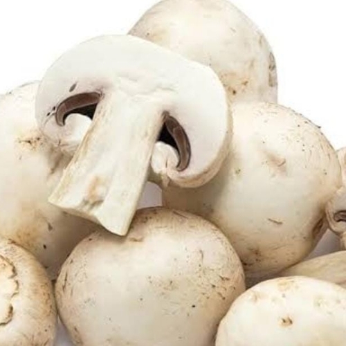 White Mushroom
