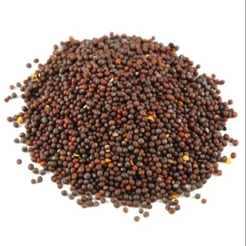 Black Mustard Seeds