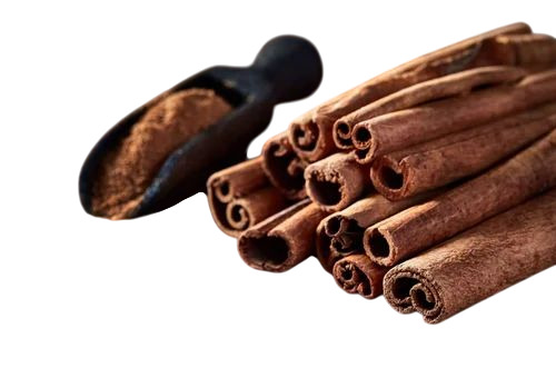 Cinnamon Stick