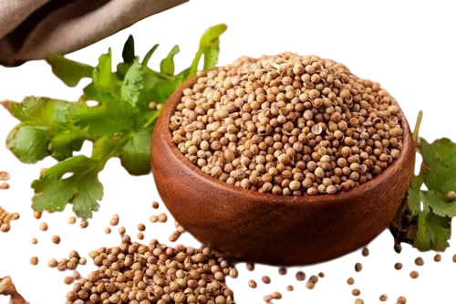 Dried Coriander