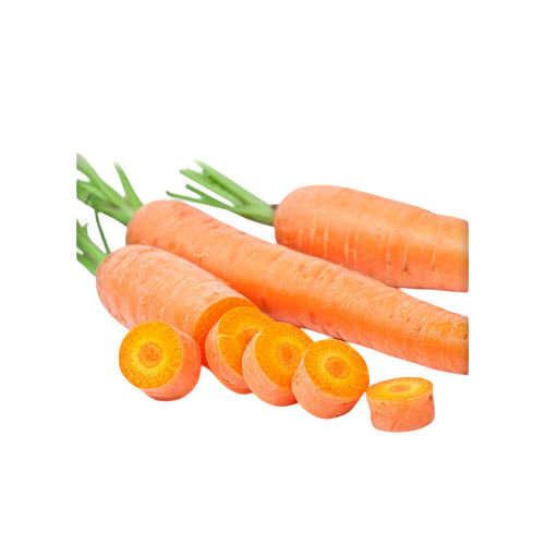 Fresh Carrots
