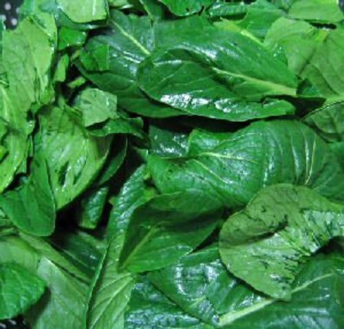 Fresh Spinach