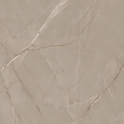 Digital Vitrified Wall Tiles