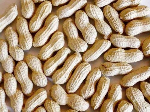 Brown Shelled Ground Nuts