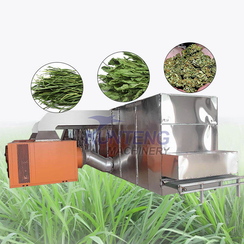 Fully Automatic Wheat Grass Dryer Machine