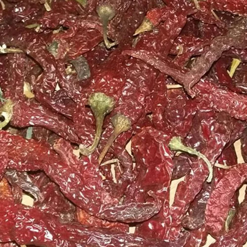 Byadgi 355 Dried Chilli