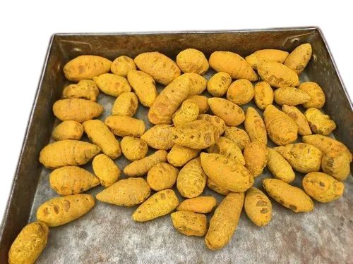Dried Turmeric Bulb