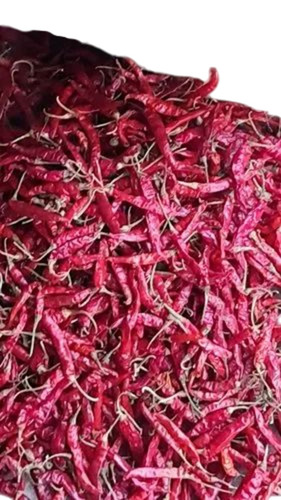 Dry Red Chilli