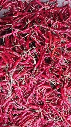 Natural Dry Red Chilli