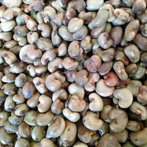 Whole Raw Cashew Nuts
