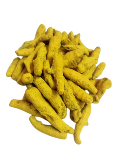 Yellow Turmeric Finger By Everl India Llp
