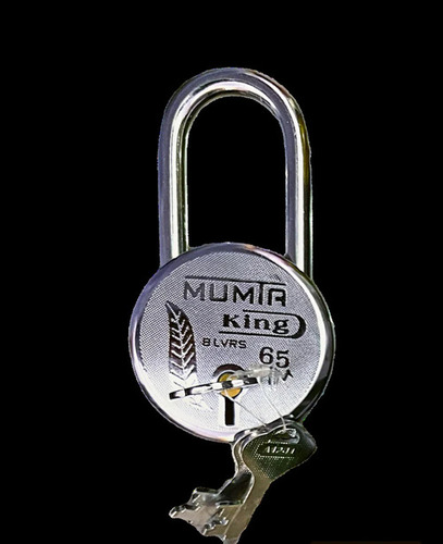 Long Shackle Padlock 65mm