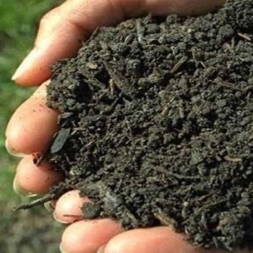 Agriculture Fertilizer