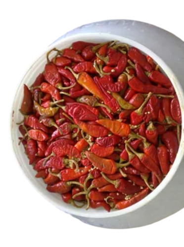 Dried Red Chilli