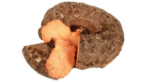 Elephant Foot Yam