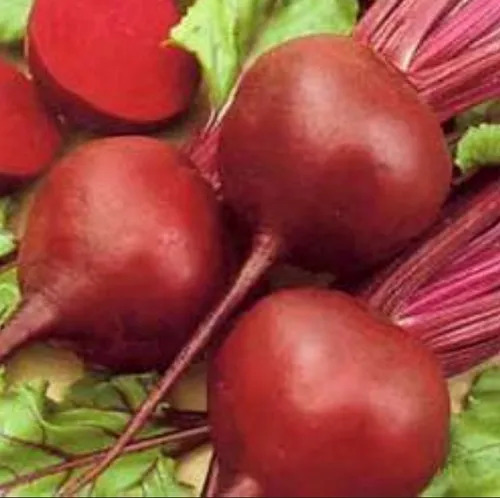 Fresh Beetroot