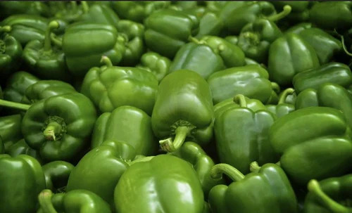 Fresh Capsicum