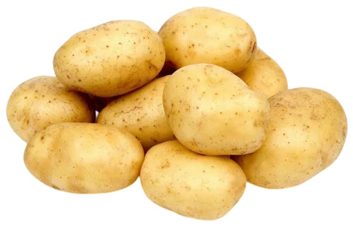 Fresh Potato