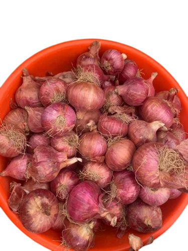 Fresh Red Onions