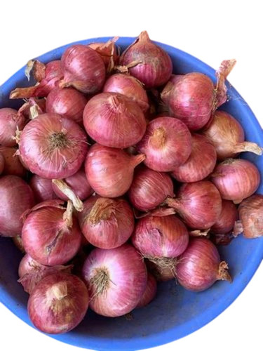 Natural Fresh Red Onion