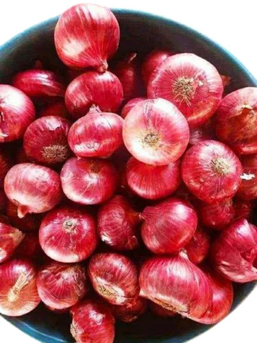 Natural Red Onion