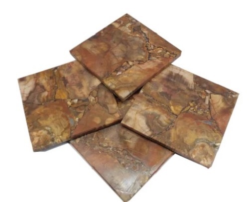 Petrified Stone Coaster