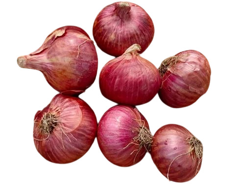 Red Fresh Onions