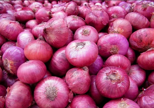 Red Onion