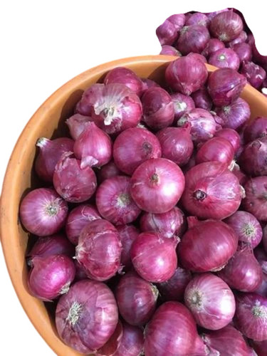 Red Onions By Irs Exports