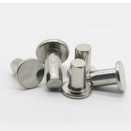 Stainless Steel Rivet