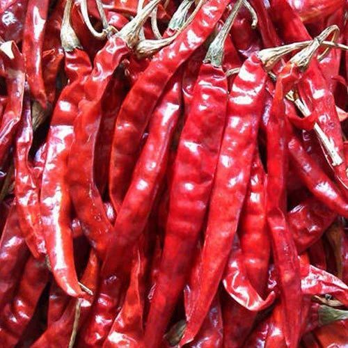 Dry Red Chilli